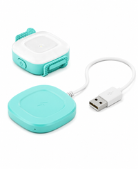 USB Rechargeable LED Safety Light for Dogs