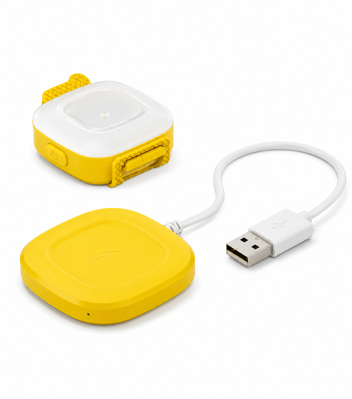 USB Rechargeable LED Safety Light for Dogs