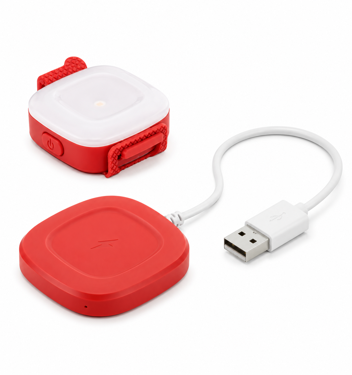 USB Rechargeable LED Safety Light for Dogs