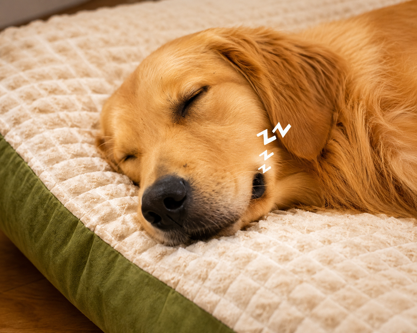 Premium Orthopedic Plush Dog Mattress Bed